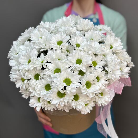 Ромашки