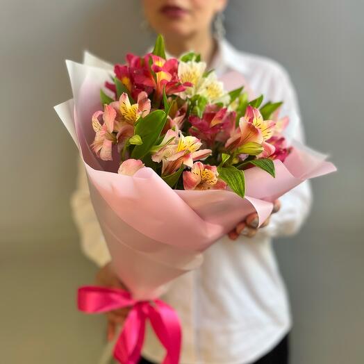 Gentle alstroemeria