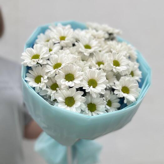 Хризантема кустовая