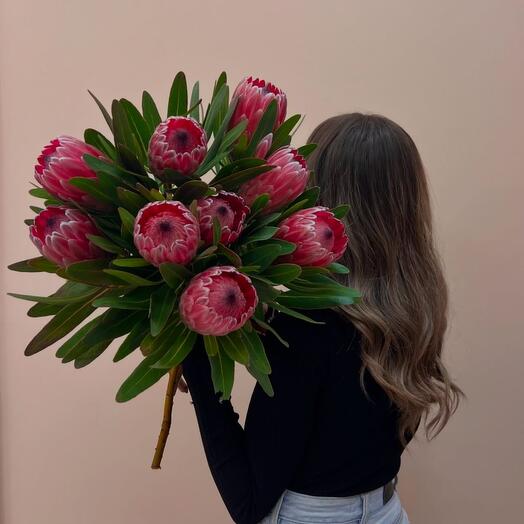 Яркий букет из протеи