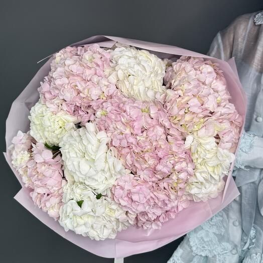 Blush and Snow: Bouquet of 10 Pink and White Hydrangeas