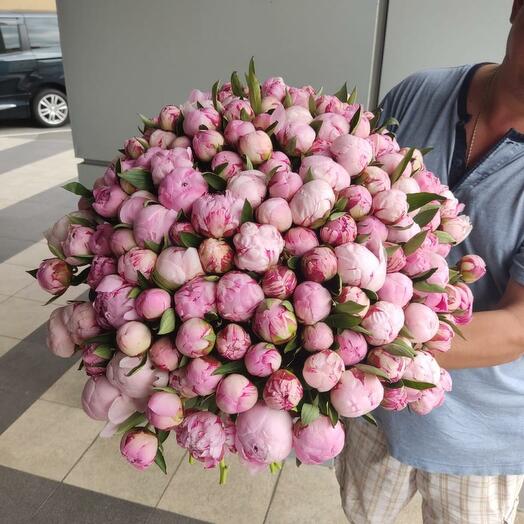 Нежный букет из розовых пионов 151 шт