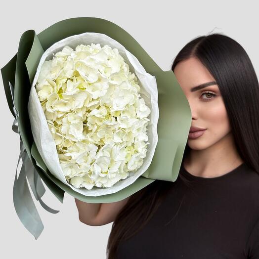 Белая гортензия