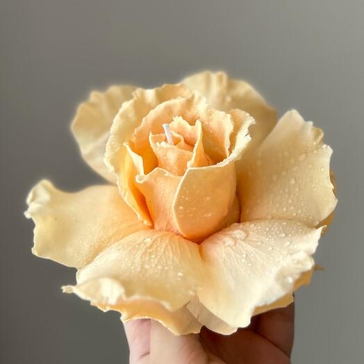 Peachy - French rose candle 💛