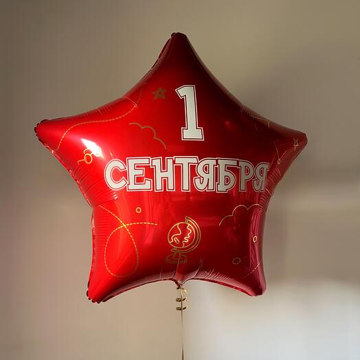 Шарик 1 сентября/День Знаний