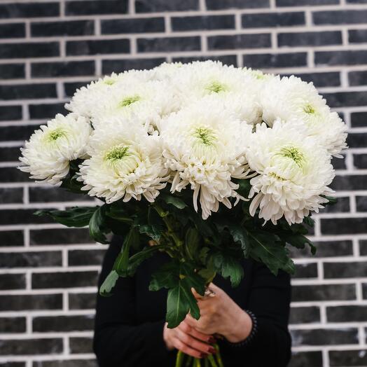 Охапка одноголовых хризантем