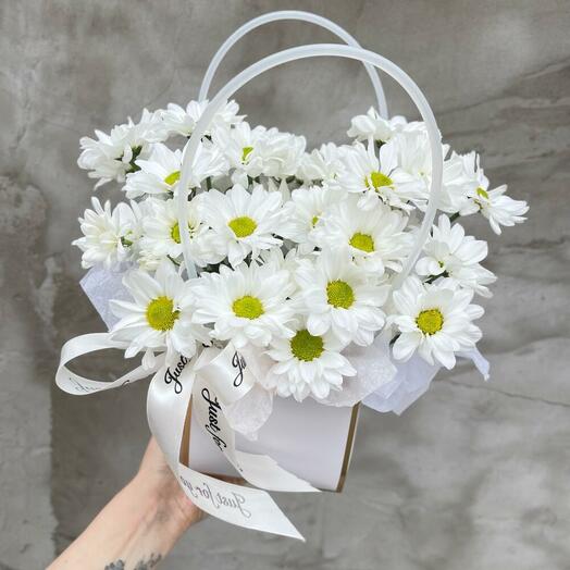 Нежное облако ромашек