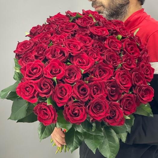 Red Opulence🌹51шт