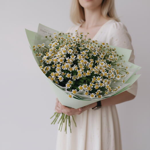 I will collect a bouquet 🌿027 (field chamomile, matricaria)