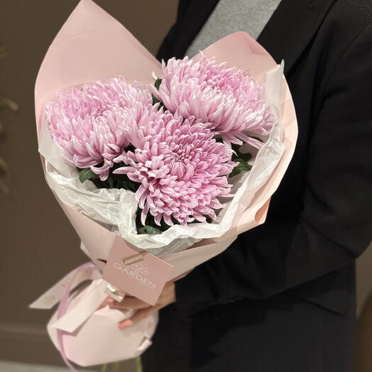 Монобукет из 3 сиреневых хризантем Ханимун