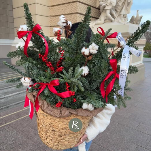 Новогодняя корзина с нобилисом