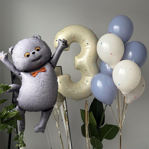 Шары с котом