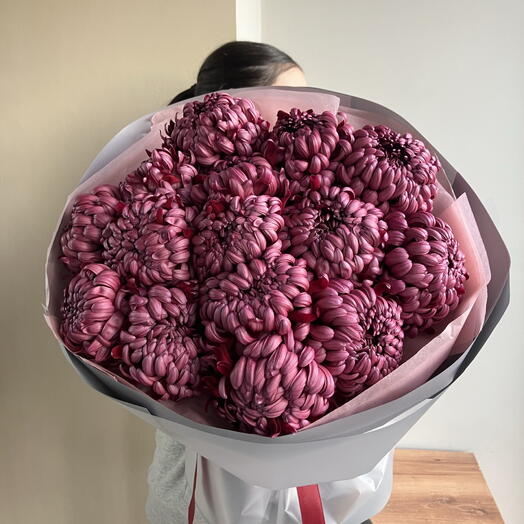 Хризантема «бигуди»