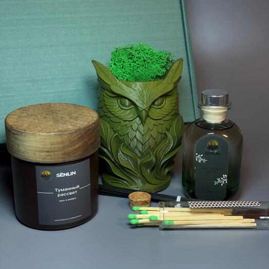 Туманный лес