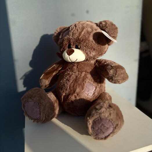 Плюшевый мишка 🧸 Small Brown Bear 🐻