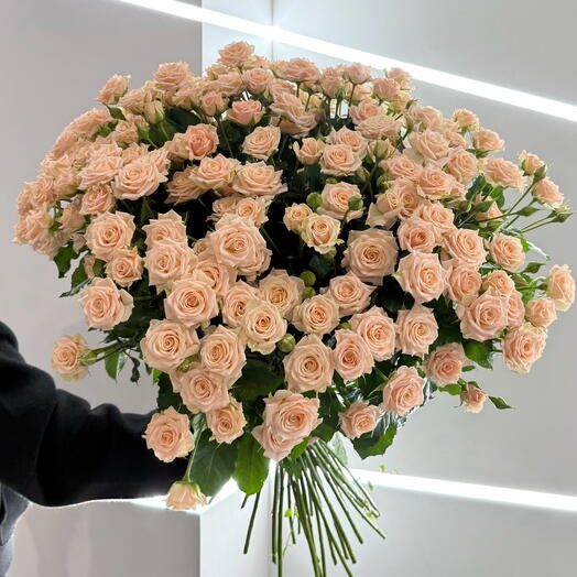 Beige spray roses