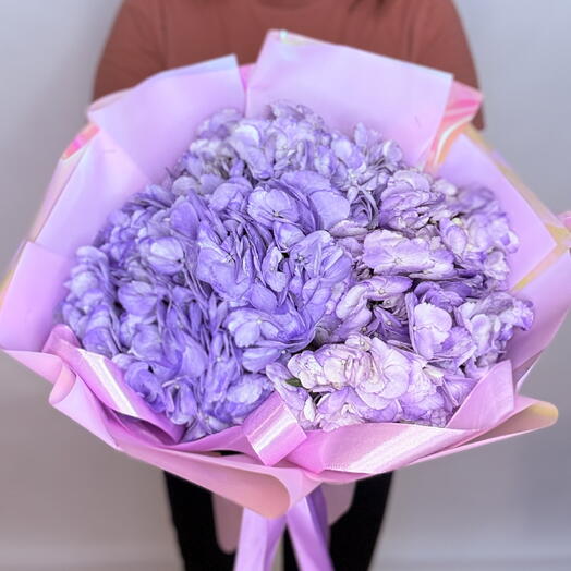 Сиреневые 💜 гортензии