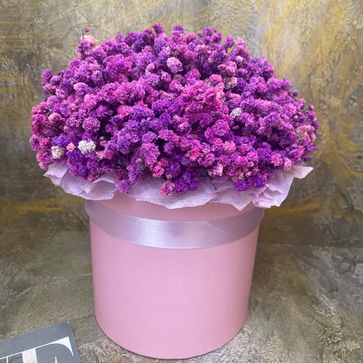Стабилизированная гипсофила Фиолетовая 💜