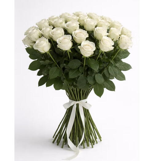 51 White Roses
