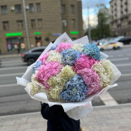 Яркий микс гортензий