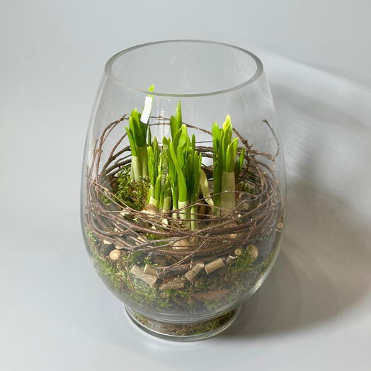 Композиция с луковичными нарциссами в вазе М