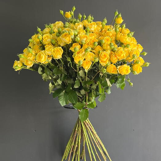Роза кустовая желтая