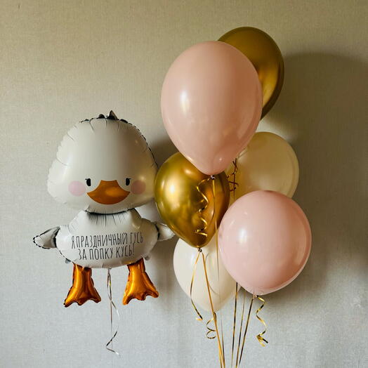 Набор шариков для девушки «Просто гусь»