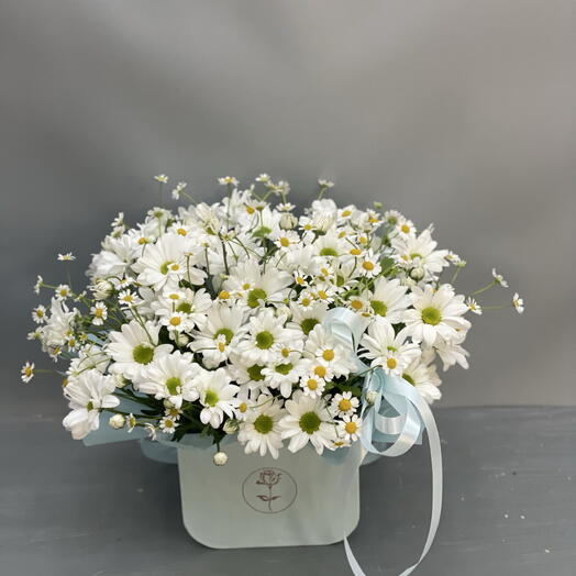 Композиция из рамашек