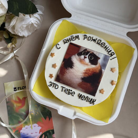 Бенто торт котик