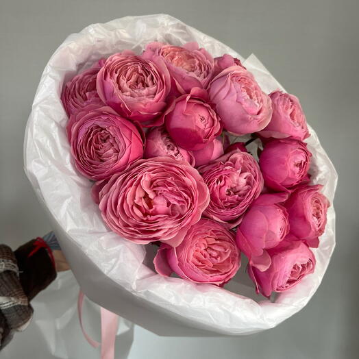 Сильва Пинк🥰 кустовая пионовидная розочка