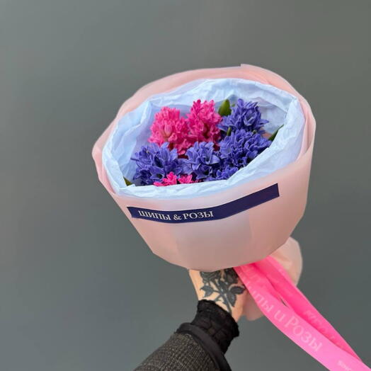 Микс гиацинтов