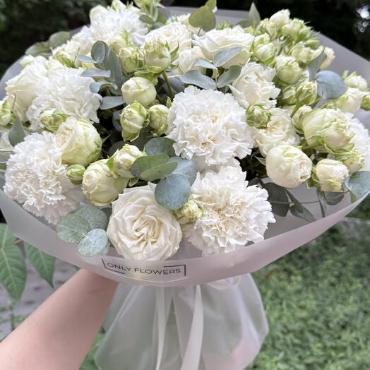 White Dream