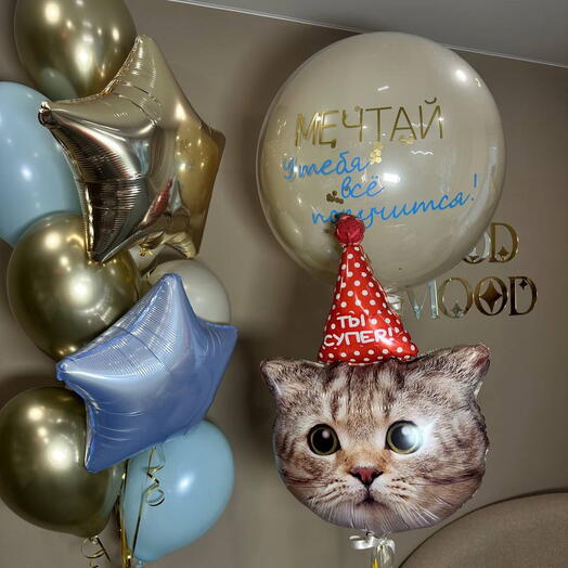 Набор шаров с котиком