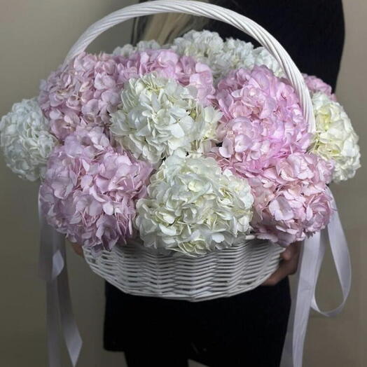 Hydrangea Harmony Basket