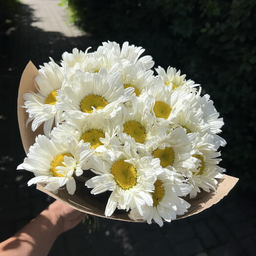 Букет ромашек садовых