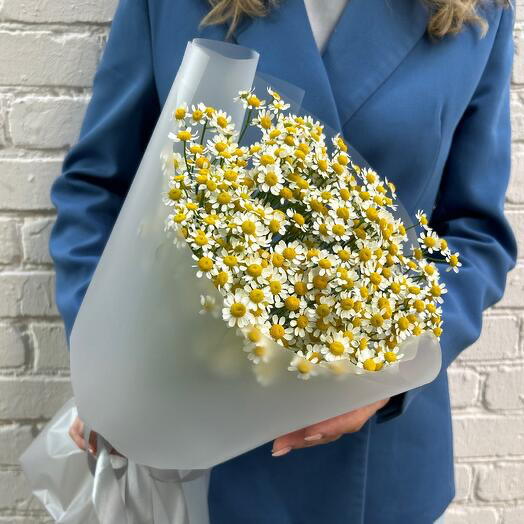 Букет кустовых ромашек