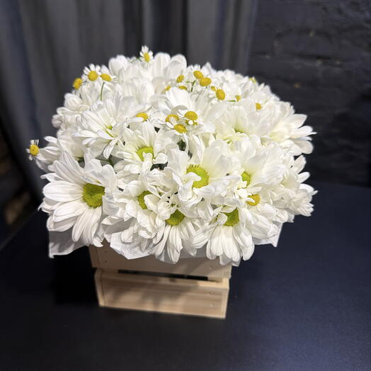 Ромашки в ящике 🌼