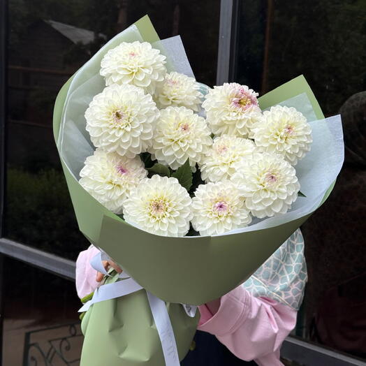 Ivory Dahlia Whisper