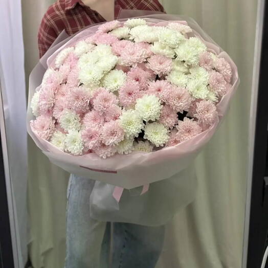 Хризантемы🌸