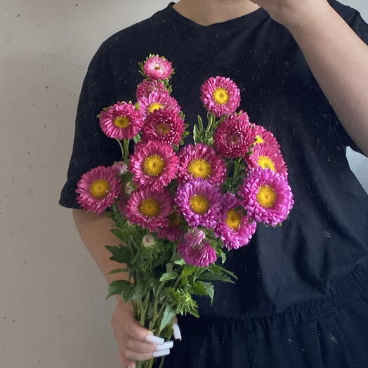 Яркие розовые кустовые астры 💗