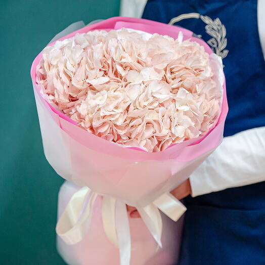 Зефирный букет из 3 розовых гортензий в нежном оформлении 1709f