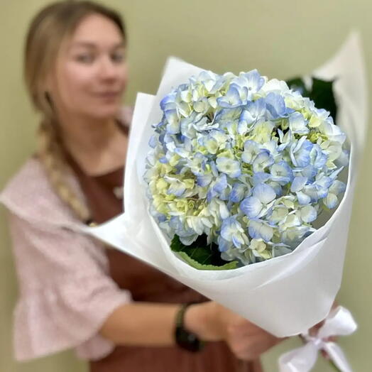 Букет из 1 шт. Голубой гортензии