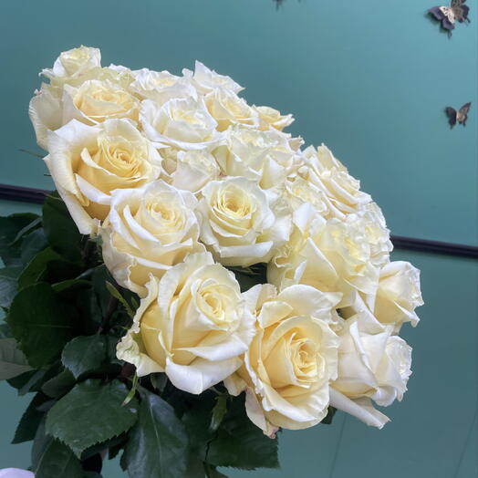 Роза лимонного цвета