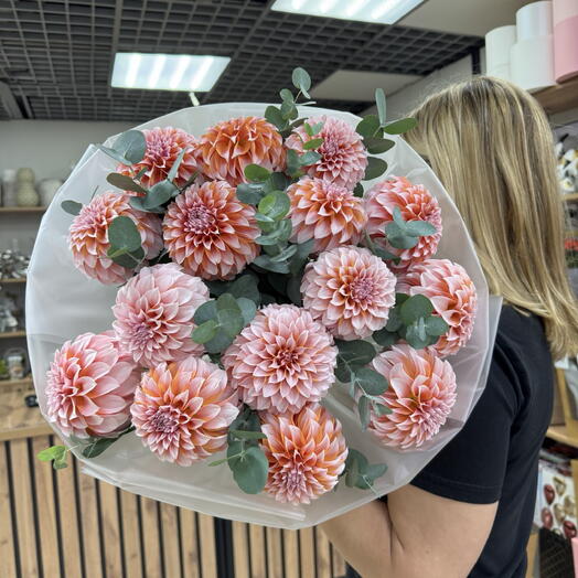 Георгины Peaches and Cream