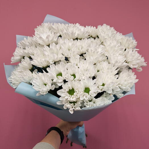 Ромашковое чудо из кустовых хризантем 1 сентября 🌷