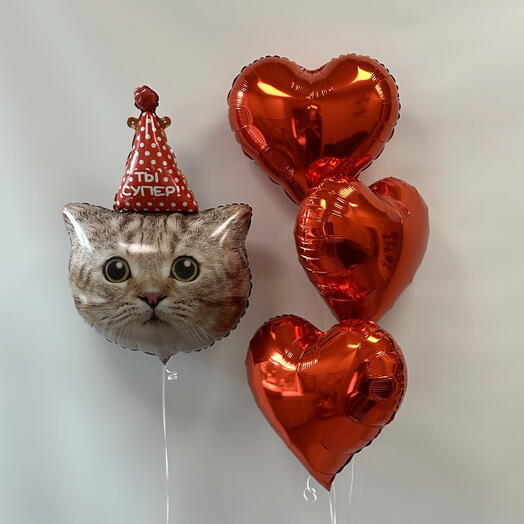 Шарики с котиком котом на день рождения