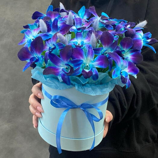 An orchid in a box. Asterisk 💙💙