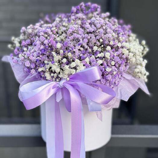 Gypsophila in the box "Serena"