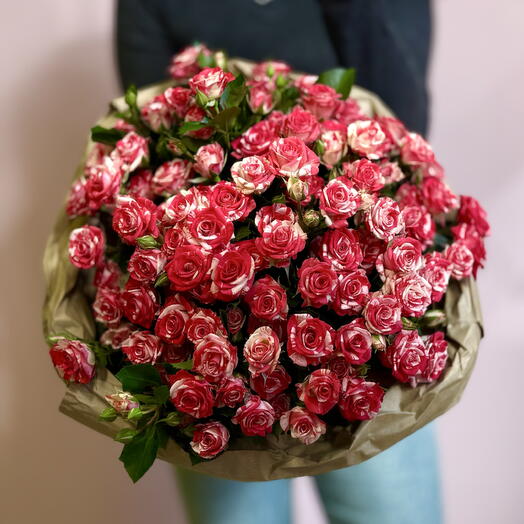 Кустовые розы Фаер 19