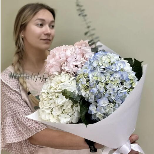 Букет из 3 шт. Разноцветных гортензий ( розового, голубого и белого цвета) с ароматным эвкалиптом 2 шт